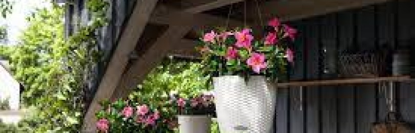 Характеристики на използването на високи саксии