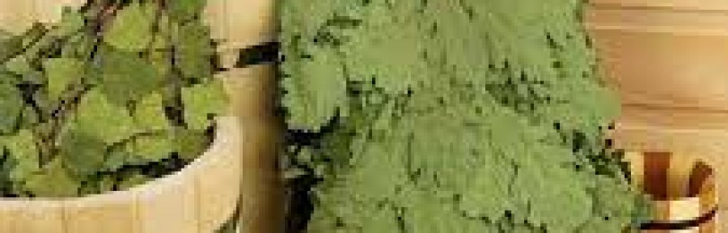 Дъбови и брезови метли за бани